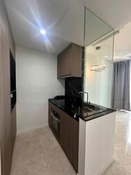 Irwell Hill Residences (D9), Apartment #457632331